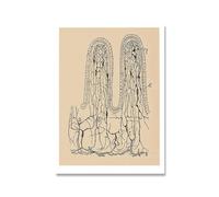 QSDTGHUIKP Neuron Dessin De Santiago Ramón Y Cajal Toile Art Mural Peinture Rétro Santiago Ramón Y Cajal Affiche et Impression Pour La Maison Décoration Murale 50x70cm Sans Cadre