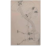 QSDTGHUIKP Neuron Dessin De Santiago Ramón Y Cajal Toile Art Mural Peinture Rétro Santiago Ramón Y Cajal Affiche et Impression Pour La Maison Décoration Murale 50x70cm Sans Cadre