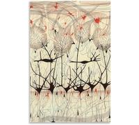 QSDTGHUIKP Santiago Ramon Y Cajal Neuron Dessin Affiche et estampes Brain Neuron Peinture Santiago Ramon Y Cajal Toile Art Mural Décoration d’intérieur 50x70cm Non encadré