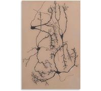 QSDTGHUIKP Santiago Ramon Y Cajal Neuron Dessin Affiche et estampes Brain Neuron Peinture Santiago Ramon Y Cajal Toile Art Mural Décoration d’intérieur 50x70cm Non encadré