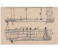 QSDTGHUIKP Santiago Ramon Y Cajal Neuron Dessin Affiche et estampes Brain Neuron Peinture Santiago Ramon Y Cajal Toile Art Mural Décoration d’intérieur 50x70cm Non encadré
