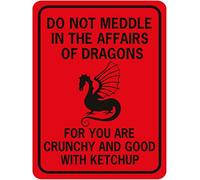 QSFDCLG Panneau « Do Not Meddle in The Affairs of Dragons », plaque en métal vintage rétro pour garage, décoration murale, vieille affiche de magasin de voiture, panneau de station-service, 30,5 x