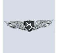 QSLLLY Emblème de Voiture Logo Badge pour DS Spirit DS3 DS4 DS4S DS5 DS 5LS DS7,Capot Avant et Arrière et Logo du Coffre Decal Remplacement Pièces Accessoires Deco,C-Normal