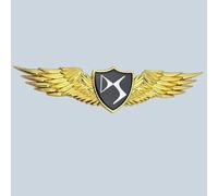 QSLLLY Emblème de Voiture Logo Badge pour DS Spirit DS3 DS4 DS4S DS5 DS 5LS DS7,Capot Avant et Arrière et Logo du Coffre Decal Remplacement Pièces Accessoires Deco,B-Normal