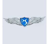 QSLLLY Emblème de Voiture Logo Badge pour DS Spirit DS3 DS4 DS4S DS5 DS 5LS DS7,Capot Avant et Arrière et Logo du Coffre Decal Remplacement Pièces Accessoires Deco,A-Normal