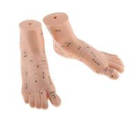 QSTDGVPW Modèle D'acupuncture du Pied - Outil de Formation Pédagogique