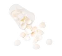 Qsvbeeqj Artisanat de coquillage de mer naturelle Projets uniques qui font des coquillages pour la décoration de bijoux et les créations artistiques qui sont naturelles, taille unique, comme décrit