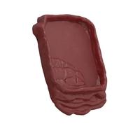 Qsvbeeqj Bac à eau pour reptiles - Ne glisse pas - Pour petites tortues d'animaux domestiques - Nettoyage facile - Pour terrariums - Utilisation pour reptiles
