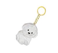 Qsvbeeqj Porte-clés commémoratif transparent pour poils d'animaux domestiques, boîte à souvenirs pour collectionneur de fourrures de chiens, pendentif pour amoureux des animaux de compagnie, cadeau