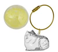 Qsvbeeqj Stockage de cheveux portable pour animaux de compagnie Charme Chaton Design moulé Collecteur de cheveux pour propriétaires de chats Collection Easy Hair Collection Mémorial Porte-clés
