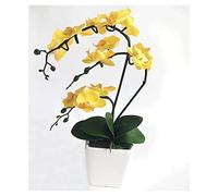QSYJCCXD 15 "Phalaenopsis Artificiel avec Vase en Porcelaine Vase en Soie intérieure Orchidée Fausses Plantes en Pot Faux Fleurs Arrangements pour Table de Table de Table de Salon décor