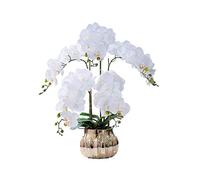 QSYJCCXD Arrangement Floral d'orchidée Phalaenopsis en Vase, en Soie Fausses Fleurs artificielles pour Le Bureau de Mariage en Plein air intérieur décoration Festive meublement Blanc/Rose/Violet