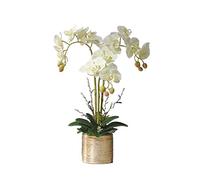 QSYJCCXD Artificials Orchid Flower Fake Silk Phalaenopsis Bouquet Blanc et Rose pour Table de Table de Table d'accueil Décor de Mariage de fête en Plein air pour la Table de Bureau de Table de Bureau