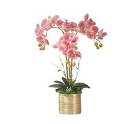 QSYJCCXD Artificials Orchid Flower Fake Silk Phalaenopsis Bouquet Blanc et Rose pour Table de Table de Table d'accueil Décor de Mariage de fête en Plein air pour la Table de Bureau de Table de Bureau
