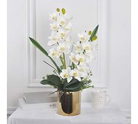 QSYJCCXD Butterfly Orchid Artificial Silk Decorative Fleur avec Vase Fake Bouquet pour la décoration de fête de Mariage à la Maison pour la Table de Bureau de Table de Bureau (Couleur: Blanc)
