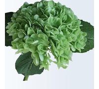 QSYJCCXD Ensemble de 5 3D Hortensia Flowers Flowers Real Touch Artificial Hortensia Fake Flowers Gift for Home Party Decoration Arrangement de Mariage