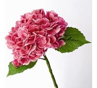 QSYJCCXD Ensemble de 5 3D Hortensia Flowers Flowers Real Touch Artificial Hortensia Fake Flowers Gift for Home Party Decoration Arrangement de Mariage