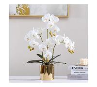 QSYJCCXD Fleur Artificielle avec Ensemble de Vase - Orchidée Artificielle phalaenopsis floked Fleurs de Plantes orchidées pour la décoration de décoration intérieure de la pièce maître