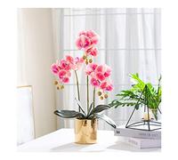 QSYJCCXD Fleur Artificielle avec Ensemble de Vase - Orchidée Artificielle phalaenopsis floked Fleurs de Plantes orchidées pour la décoration de décoration intérieure de la pièce maître