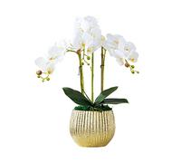 QSYJCCXD Fleur Artificielle phalaenopsis avec Un Vase doré Fausse fête de Mariage en Soie Bouquet de mariée décoration intérieure Florale pour Table de Bureau de Bureau de Bureau (Couleur: a)