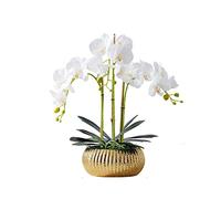 QSYJCCXD Fleur Artificielle phalaenopsis avec Un Vase doré Fausse fête de Mariage en Soie Bouquet de mariée décoration intérieure Florale pour Table de Bureau de Bureau de Bureau (Couleur: a)