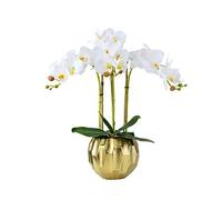 QSYJCCXD Fleur Artificielle Phalaenopsis Blanc avec Vase Or Faux Soie Mariage Bouquet de Mariée Maison Décor Fleurs pour Table de Maison Bureau Bureau Décor (Color : a)