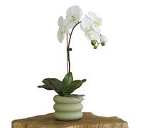 QSYJCCXD Fleur d'orchidée Artificielle Blanche phalaenopsis Fleur avec Vase en céramique, Fleurs truquées Fleur de Soie Artificielle, 19,7 "H Table de Table de Table de Bureau décoration de fête de