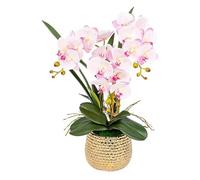 QSYJCCXD Fleur d'orchidée Artificielle en Pot en céramique, Faux Faux phalaenopsis Arrangement Flor