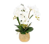 QSYJCCXD Fleur d'orchidée Artificielle en Pot en céramique, Faux Faux phalaenopsis Arrangement Flor