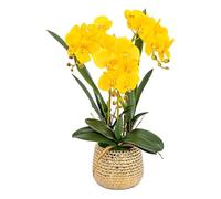 QSYJCCXD Fleur d'orchidée Artificielle en Pot en céramique, Faux Faux phalaenopsis Arrangement Flor