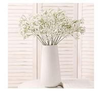 QSYJCCXD Fleurs de gypsophile artificielles avec Vase en Plastique Doux Fleur de Fleur de DIY Arrangement de Fleurs pour la Cuisine de Cuisine de Cuisine de Cuisine décor