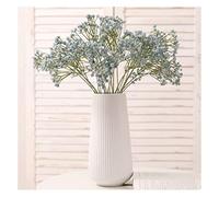 QSYJCCXD Fleurs de gypsophile artificielles avec Vase en Plastique Doux Fleur de Fleur de DIY Arrangement de Fleurs pour la Cuisine de Cuisine de Cuisine de Cuisine décor