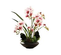QSYJCCXD Grande Orchidée Simulation Flower Set Falle Flower Fleurs de Soie Fleurs phalaenopsis Bouquet Flower Arrangement décor Floral pour Table de Bureau de Table de Bureau (Couleur: C)
