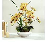 QSYJCCXD Grande Orchidée Simulation Flower Set Falle Flower Fleurs de Soie Fleurs phalaenopsis Bouquet Flower Arrangement décor Floral pour Table de Bureau de Table de Bureau (Couleur: C)