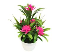 QSYJCCXD Lotus Artificiel avec Feuilles Simulation Fausse Plante Plante Petit bonsaï Ornements de Bureau intérieur décoration de Bureau à Domicile en Plein air