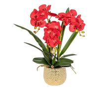 QSYJCCXD Orchidée artificielle dans un pot en céramique, arrangement de fleurs artificielles phalaenopsis pour décoration d'intérieur, salon, centre de table