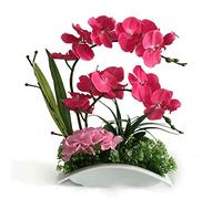 QSYJCCXD Orchidée Artificielle en céramique Pot décoratif Fausse Plantes