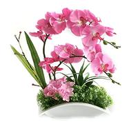 QSYJCCXD Orchidée Artificielle en céramique Pot décoratif Fausse Plantes
