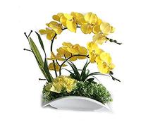 QSYJCCXD Orchidée Artificielle en céramique Pot décoratif Fausse Plantes