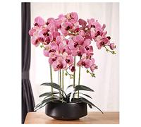 QSYJCCXD Orchidée Artificielle Phalaenopsis dans Le Pot Plantes artificielles réelles Bonsaï Fausse Fleur avec Vase en céramique pour décoration intérieure Table maître