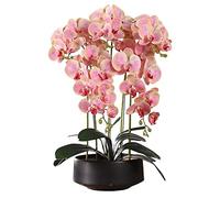 QSYJCCXD Orchidée Artificielle Phalaenopsis dans Le Pot Plantes artificielles réelles Bonsaï Fausse Fleur avec Vase en céramique pour décoration intérieure Table maître