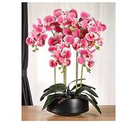 QSYJCCXD Orchidée artificielle phalaenopsis en pot - Plantes artificielles au toucher réaliste - Avec vase en céramique pour décoration intérieure, salon, centre de table