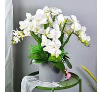 QSYJCCXD Orchidée de Papillon de Papillon des Fleurs phalaenopsis de Soie Artificielle avec Une Fausse décoration de Mariage de Plante pour la Table de Bureau de Table de Bureau (Couleur: C)