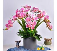 QSYJCCXD Orchidée de Papillon de Papillon des Fleurs phalaenopsis de Soie Artificielle avec Une Fausse décoration de Mariage de Plante pour la Table de Bureau de Table de Bureau (Couleur: C)