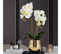 QSYJCCXD Orchidée Papillon Artificiel Set Plantes en Pot Fleur de Soie avec Vase doré pour la décoration de Maison de Bureau pour Table de Bureau de Bureau de Bureau (Couleur: Rose)