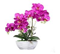 QSYJCCXD Orchidées phalaenopsis artificielles dans un pot en céramique - Plantes artificielles réalistes - Orchidées papillon bonsaï - Ornements pour centres de table, chambre, décoration d'intérieur