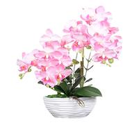 QSYJCCXD Orchidées phalaenopsis artificielles en céramique Pot Plantes artificielles réalistes orchidées Papillon Ornements de bonsaï