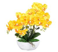 QSYJCCXD Orchidées phalaenopsis artificielles en céramique Pot Plantes artificielles réalistes orchidées Papillon Ornements de bonsaï