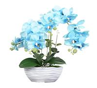 QSYJCCXD Orchidées phalaenopsis artificielles en céramique Pot Plantes artificielles réalistes orchidées Papillon Ornements de bonsaï