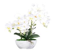 QSYJCCXD Orchidées phalaenopsis artificielles en céramique Pot Plantes artificielles réalistes orchidées Papillon Ornements de bonsaï